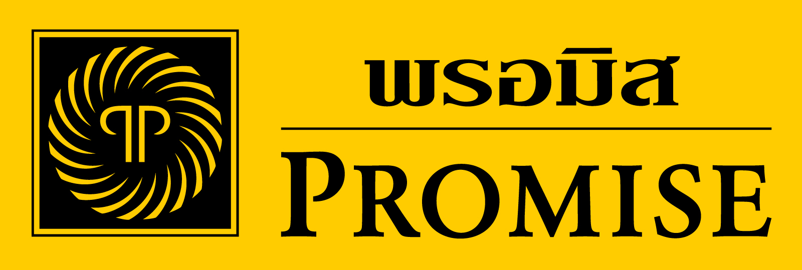 promise